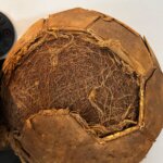 THE BALL THAT NEVER GAVE UP